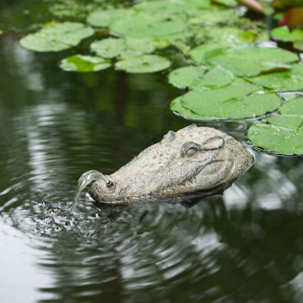 Schwimmender Wasserspeier Krokodil